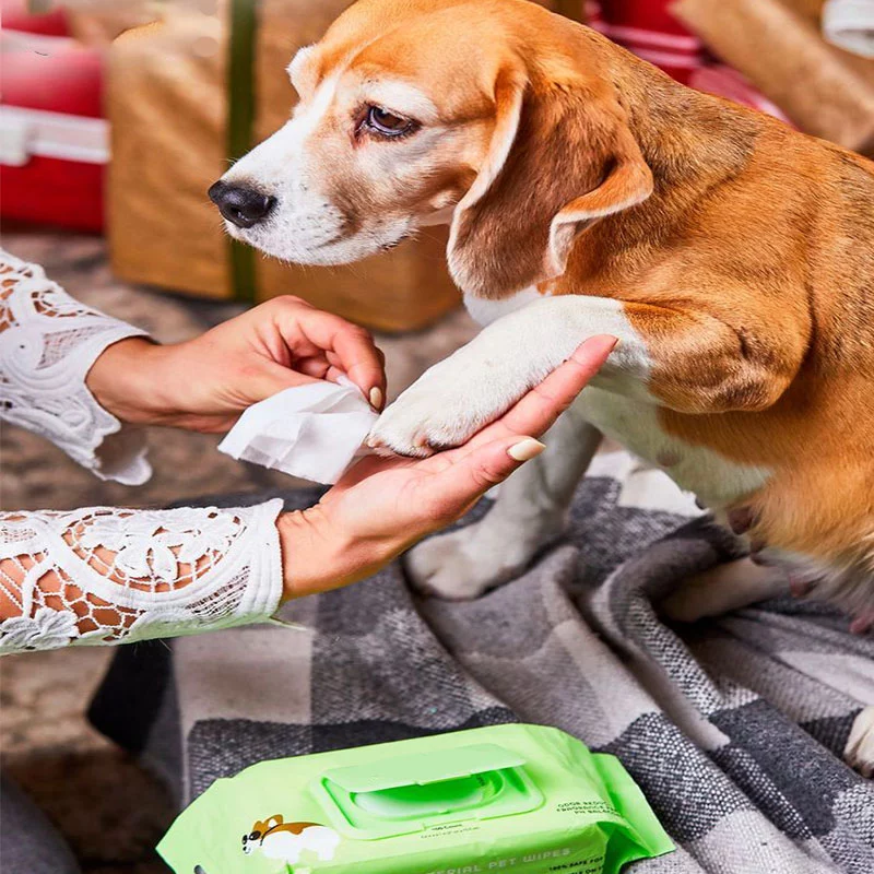PET WIPES Travel